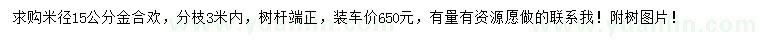 求購米徑15公分金合歡