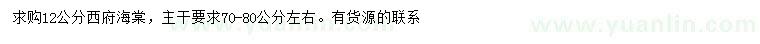 求購12公分西府海棠