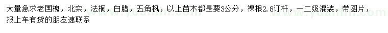 求購老國槐、北欒、法桐等