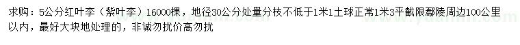 求購(gòu)地徑30公分量5公分紅葉李（紫葉李）