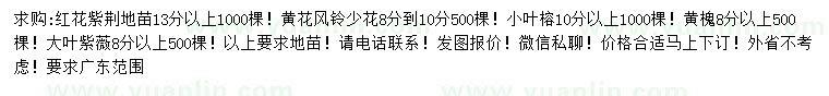 求購紅花紫荊、黃花風(fēng)鈴、小葉榕等