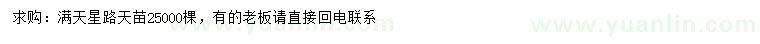 求購滿天星路天苗