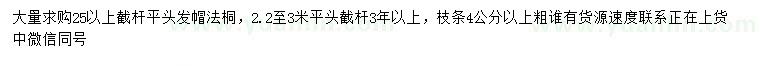求購(gòu)25公分以上法桐