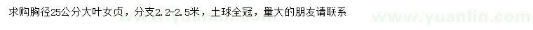 求購胸徑25公分大葉女貞