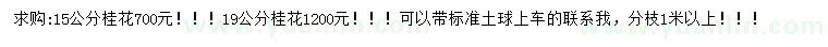 求購15、19公分桂花