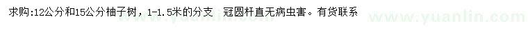 求購(gòu)12、15公分柚子樹