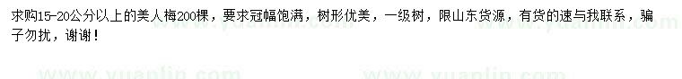 求購15-20公分以上美人梅