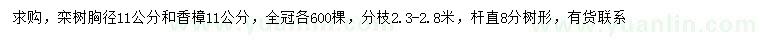 求購胸徑11公分欒樹、香樟