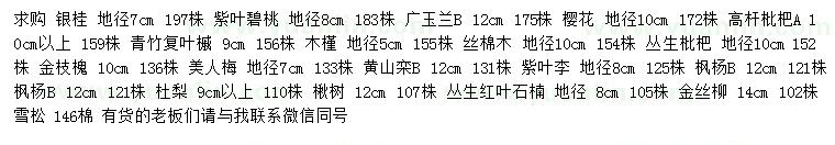 求購(gòu)銀桂、廣玉蘭、紫葉碧桃等