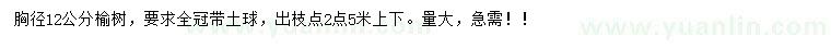 求購(gòu)12公分榆樹