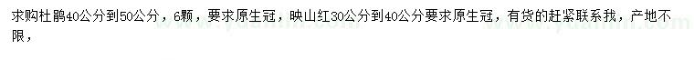 求購40-50公分杜鵑、30、40公分映山紅