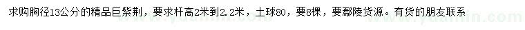 求購胸徑13公分精品巨紫荊