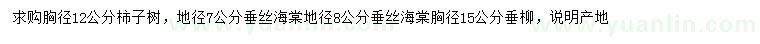 求購(gòu)柿樹(shù)、垂絲海棠、垂柳