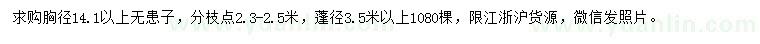 求購(gòu)胸徑14.1以上無(wú)患子