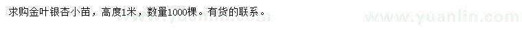 求購高1米金葉銀杏