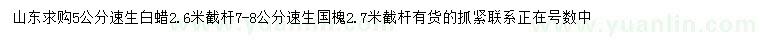 求購(gòu)5公分速生白蠟、7-8公分速生國(guó)槐