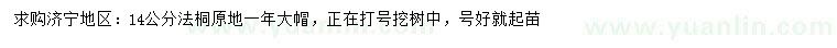 求購14公分法桐