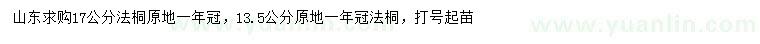 求購(gòu)13.5、17公分法桐