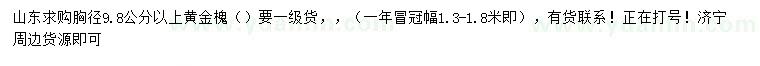 求購胸徑9.8公分以上黃金槐