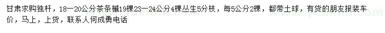 求購18-20、23-24公分茶條槭