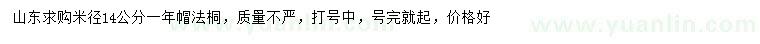 求購米徑14公分法桐