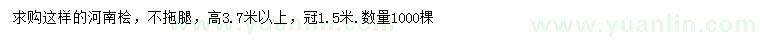 求購(gòu)高3.7米以上河南檜