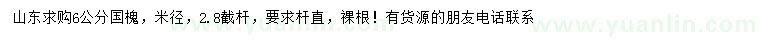 求購米徑6公分國槐