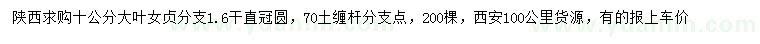 求購(gòu)10公分大葉女貞