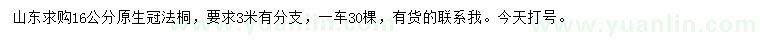 求購16公分法桐