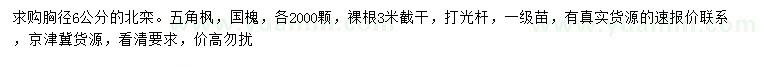 求購北欒、五角楓、國槐