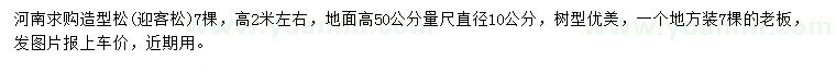 求購高2米左右造型松