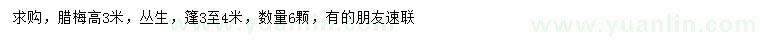 求購高3米叢生臘梅