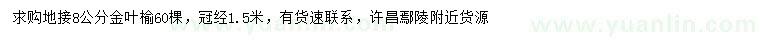 求購8公分金葉榆
