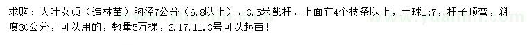 求購胸徑6.8公分以上大葉女貞