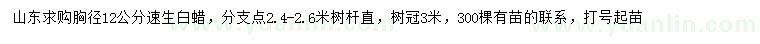 求購胸徑12公分速生白蠟