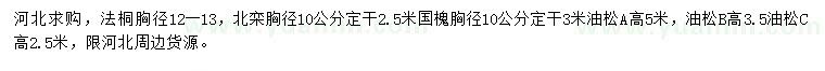 求購法桐、北欒、油松