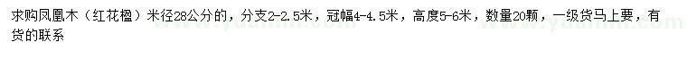 求購米徑28公分鳳凰木、紅花楹