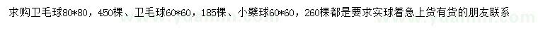 求購60X60、80X80衛(wèi)毛球、60X60小檗球