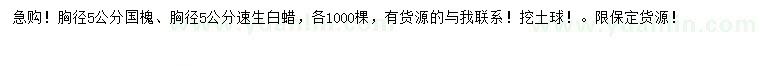 求購胸徑5公分國槐、速生白蠟