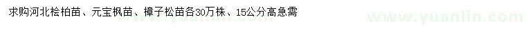 求購河北檜柏苗、元寶楓苗、樟子松苗