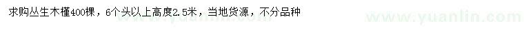 求購高2.5米叢生木槿