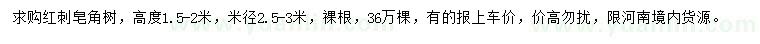 求購(gòu)米徑2.5-3米紅刺皂角