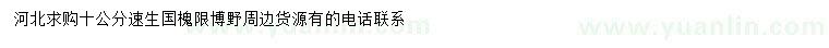 求購10公分速生國槐
