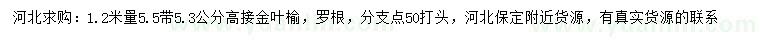 求購(gòu)1.2米量5.5公分高接金葉榆