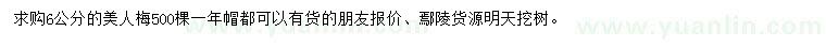 求購6公分的美人梅
