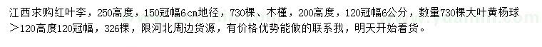 求購紅葉李、木槿、大葉黃楊球