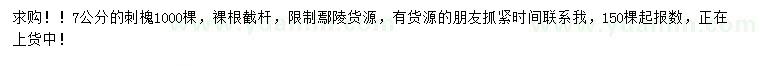 求購7公分刺槐