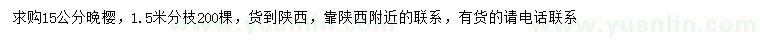 求購(gòu)15公分晚櫻