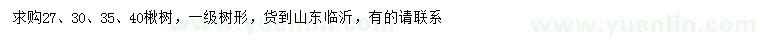 求購27、30、35、40公分楸樹