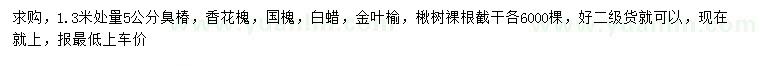 求購臭椿、香花槐、國槐等